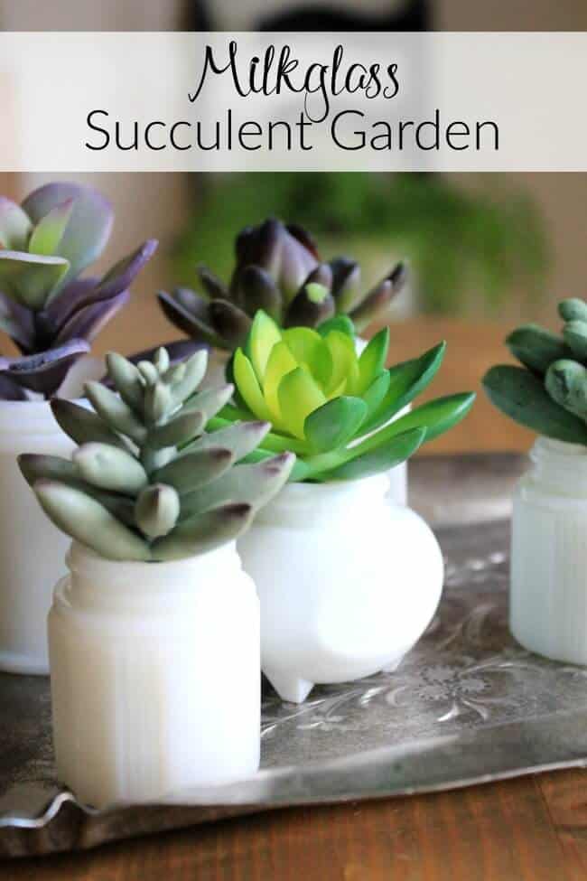 Milkglass Succulent Garden: how to create a small succulent garden using mini milkglass containers.