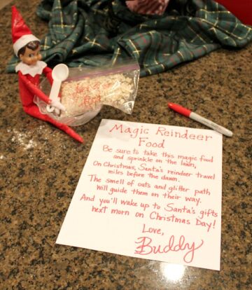 15 Elf on the Shelf Ideas to help you this holiday season - Your Home ...