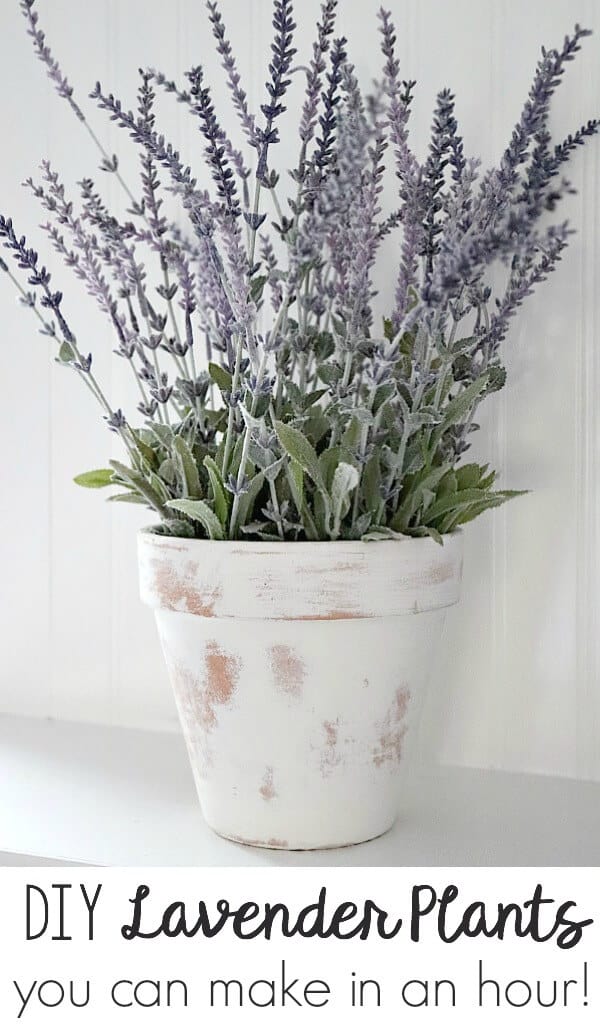 Limewash isn't just for bricks! Thinking outside the box, I was able to create this DIY Limewash Terra Cotta Lavender Plant. Try these creative decor ideas! 

Romabio Paints Classico Limewash on Terra Cotta Pots