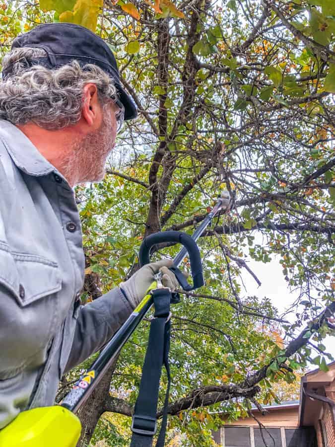Prepping Your Yard for Winter