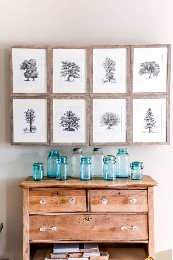 DIY Wall Mounted TV Cabinet filled with vintage black and white tree illustrations over an unfinished dresser with blue ball jars on top 