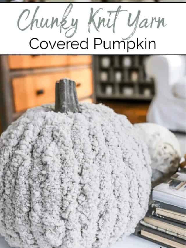 Chunky Knit Covered Pumpkins