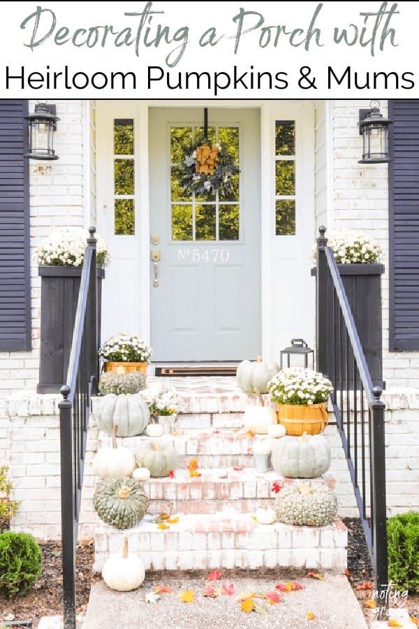 Looking for ideas to add fall to your front entry? Here's how I'm decorating a porch with heirloom pumpkins and mums this year.