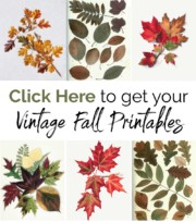 15 Free Vintage Fall Printables