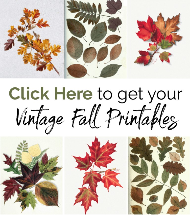 15 Free Vintage Fall Printables