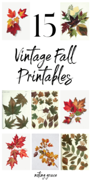 15 Free Vintage Fall Printables