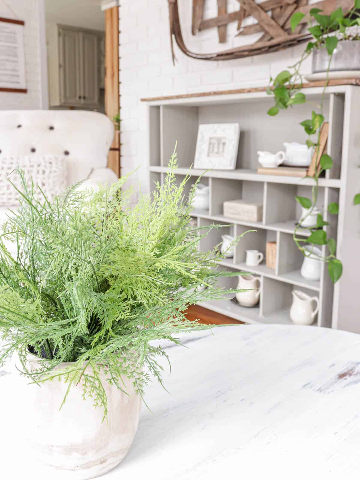 fern in a wooden planter in front to a bookcase filled with vintage creamer pitchers