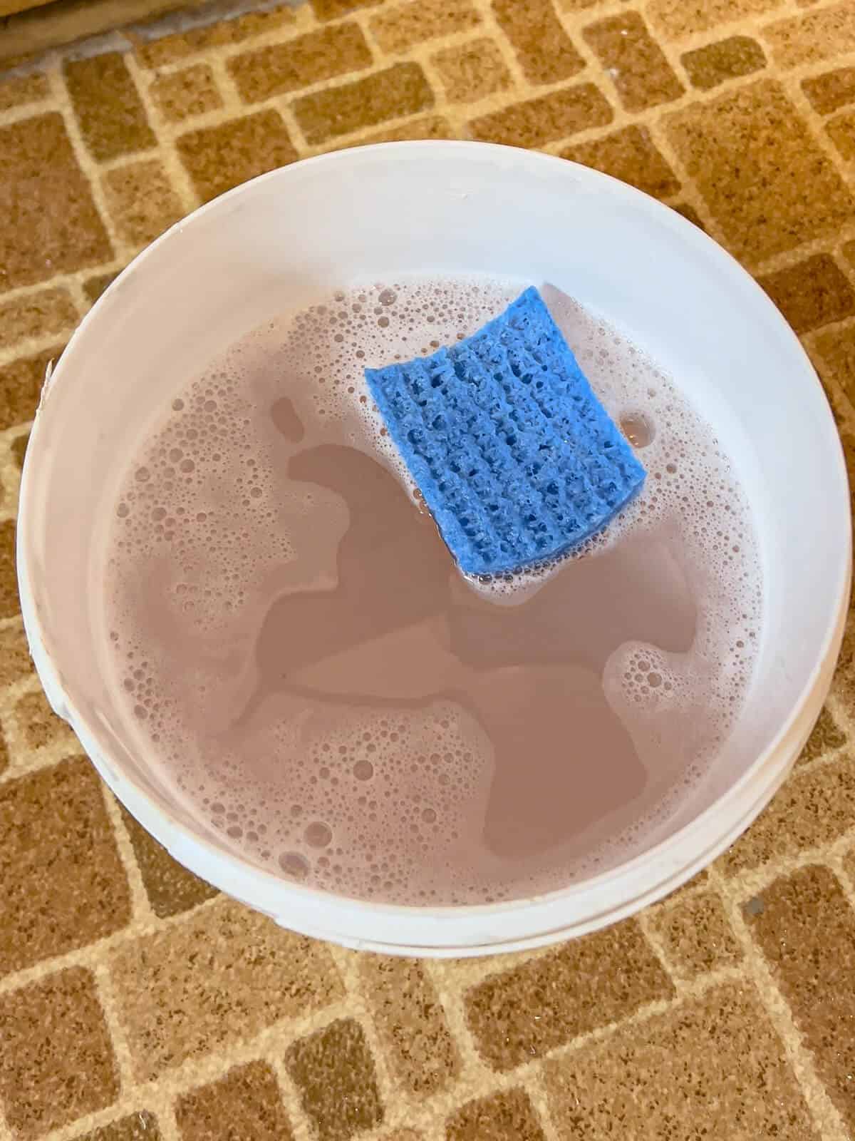 bucket of tsp cleaning solution and water with a blue scrub sponge