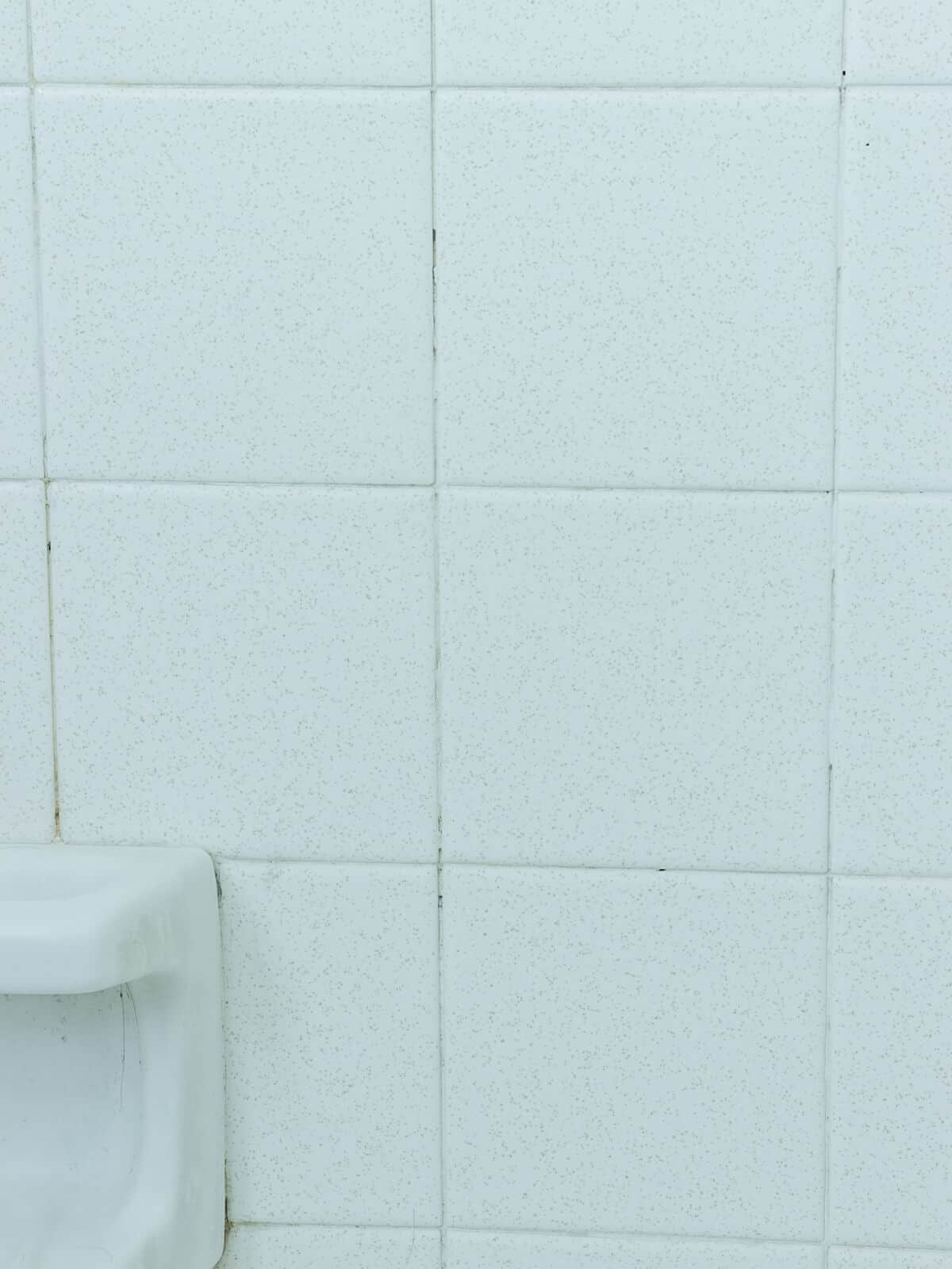 dated bathroom with bad grout lines