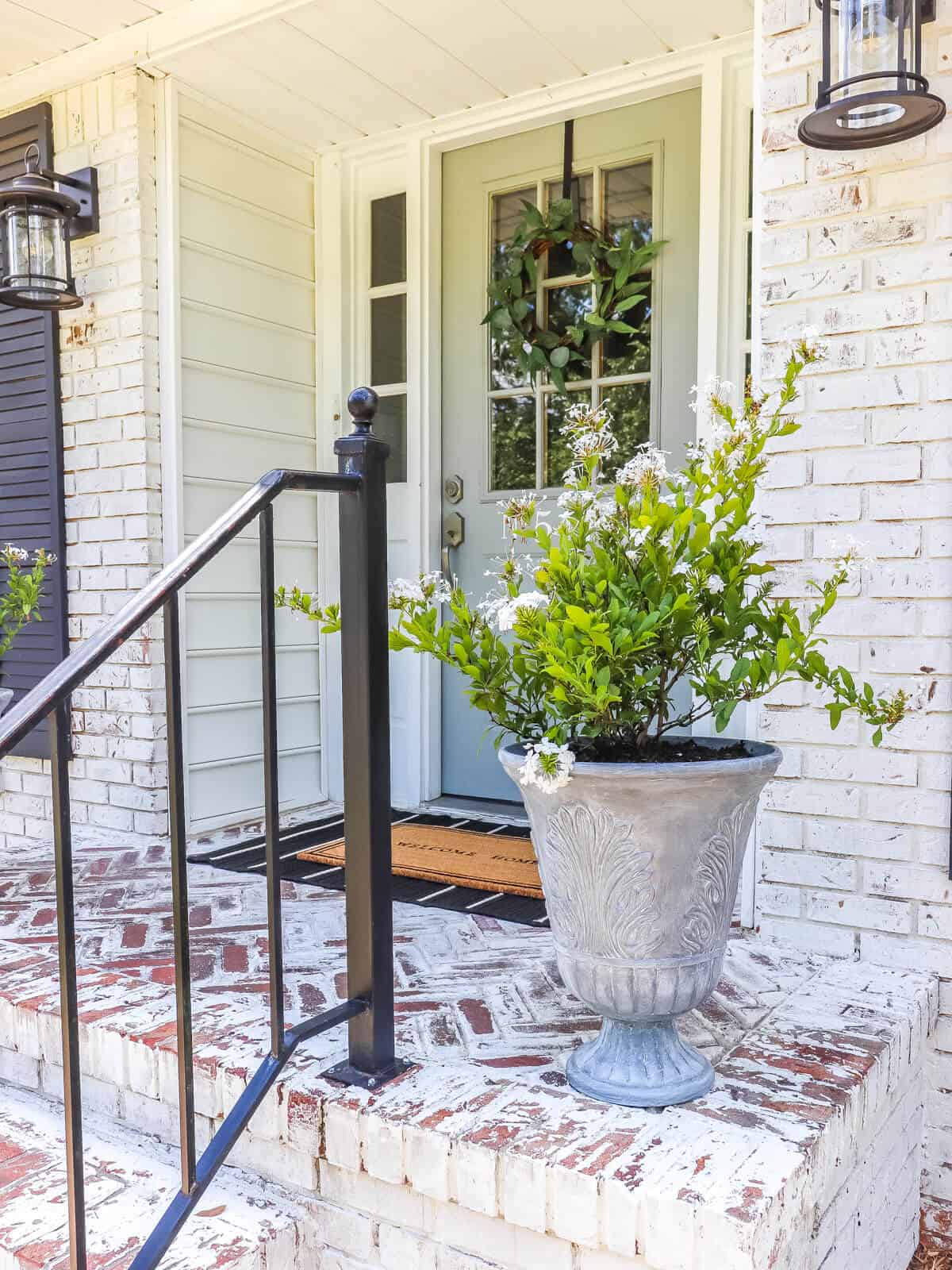 planted plumbago on a herringbone brick front porch