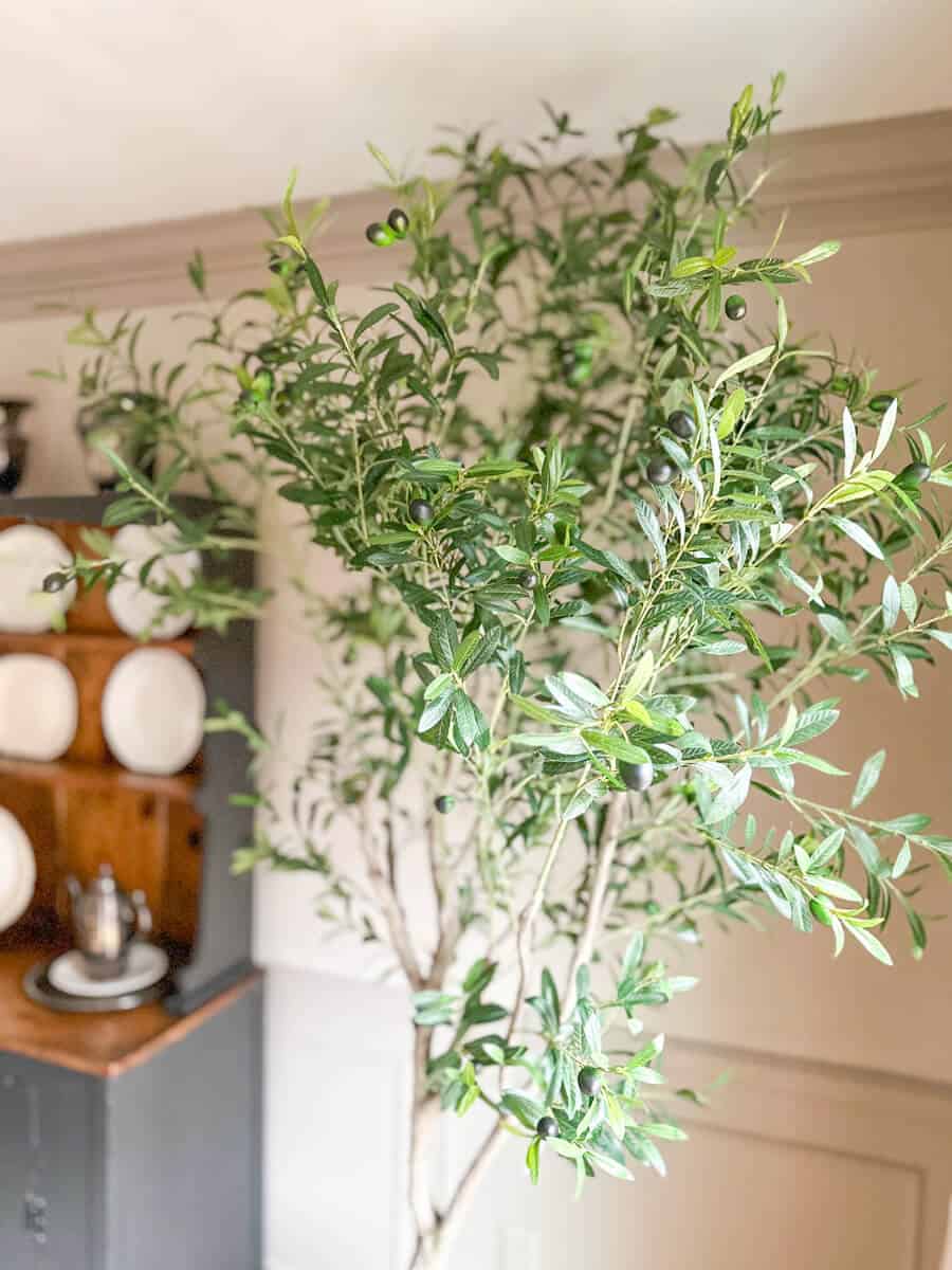 Faux olive tree in a dining room against limewashed walls in a taupe color