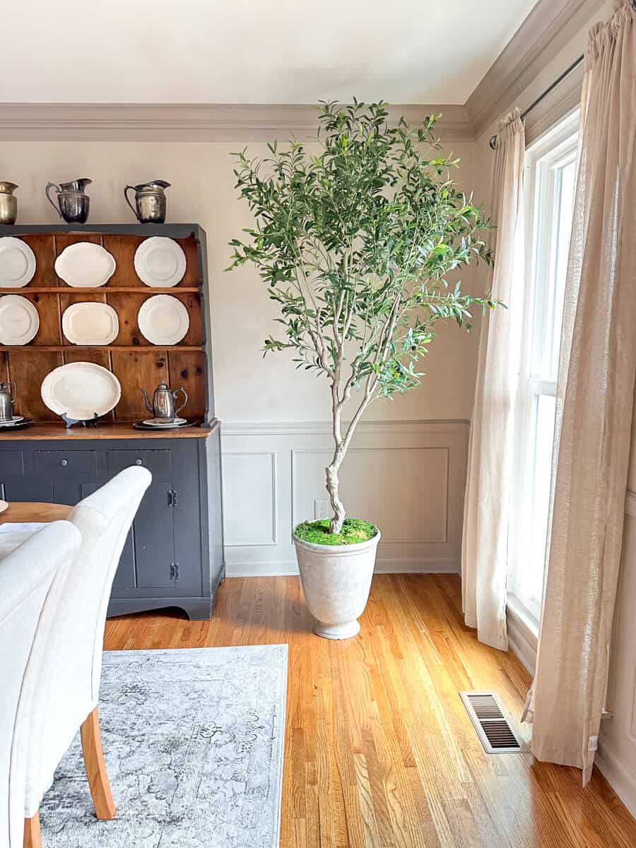 Faux Olive Tree in a Dining room with Limewashed Walls