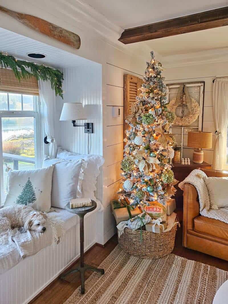 shiplapped walls with a small flocked pencil christmas tree decorated with dried hydrangeas